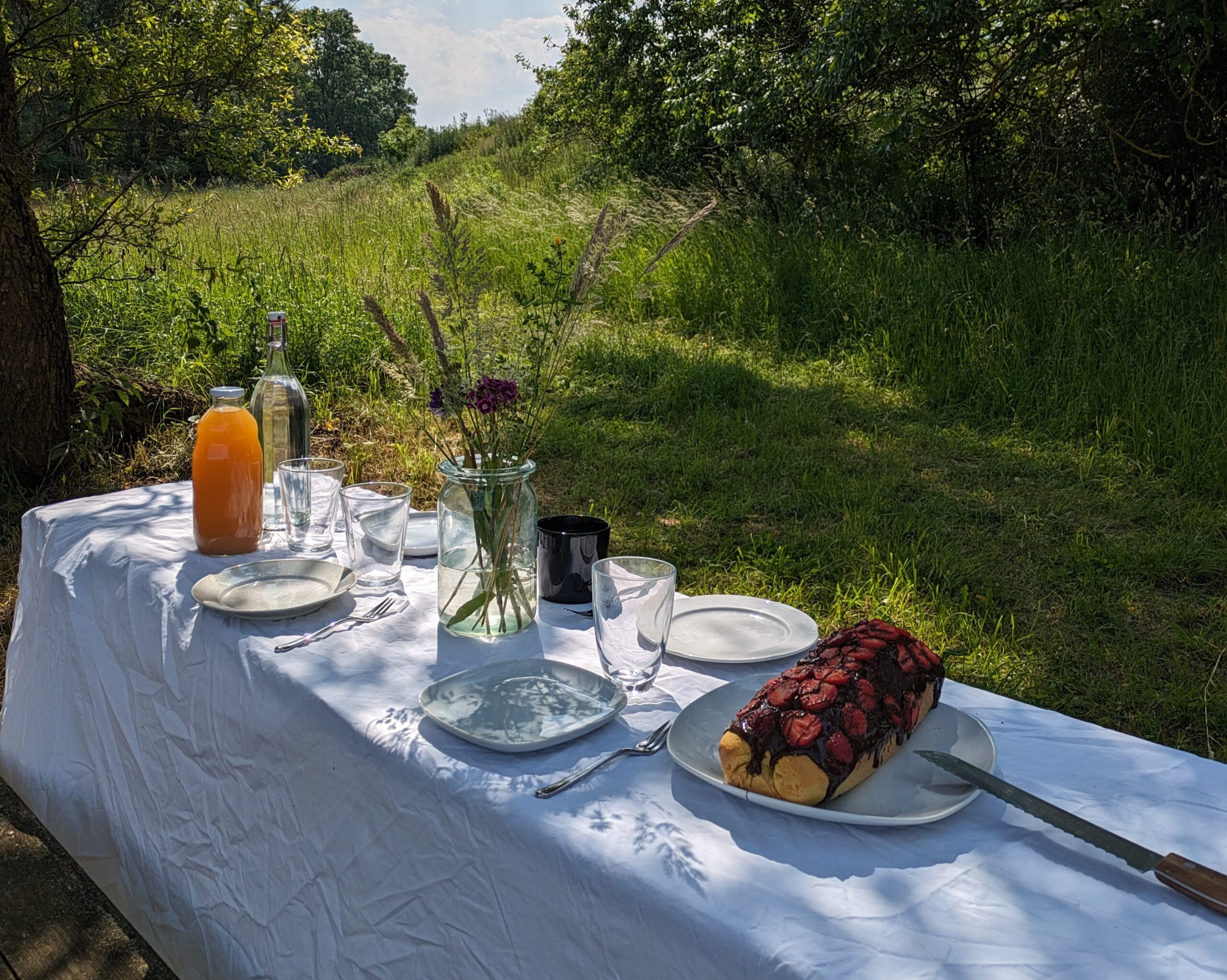 Picknick in der Natur