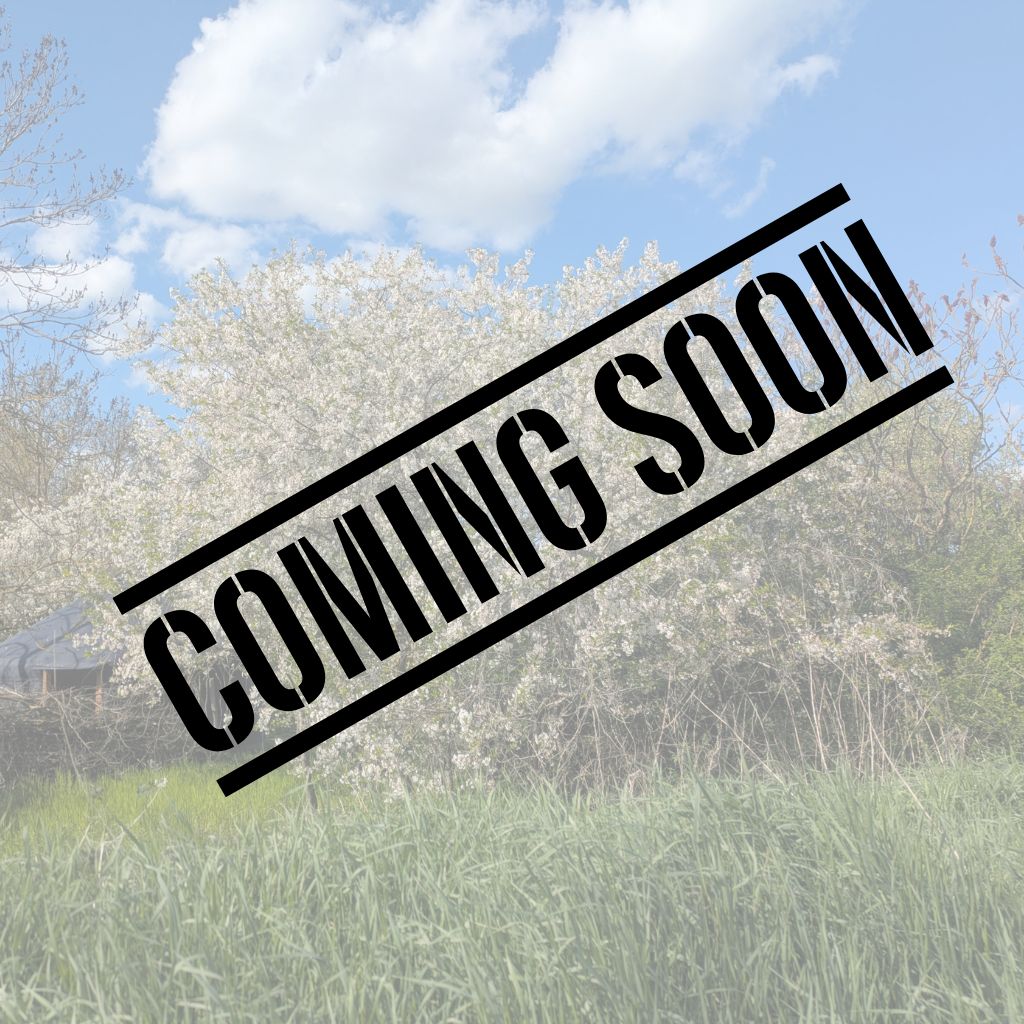 Coming Soon Ankündigung vor Frühlingslandschaft Mecklenburgische Seenplatte