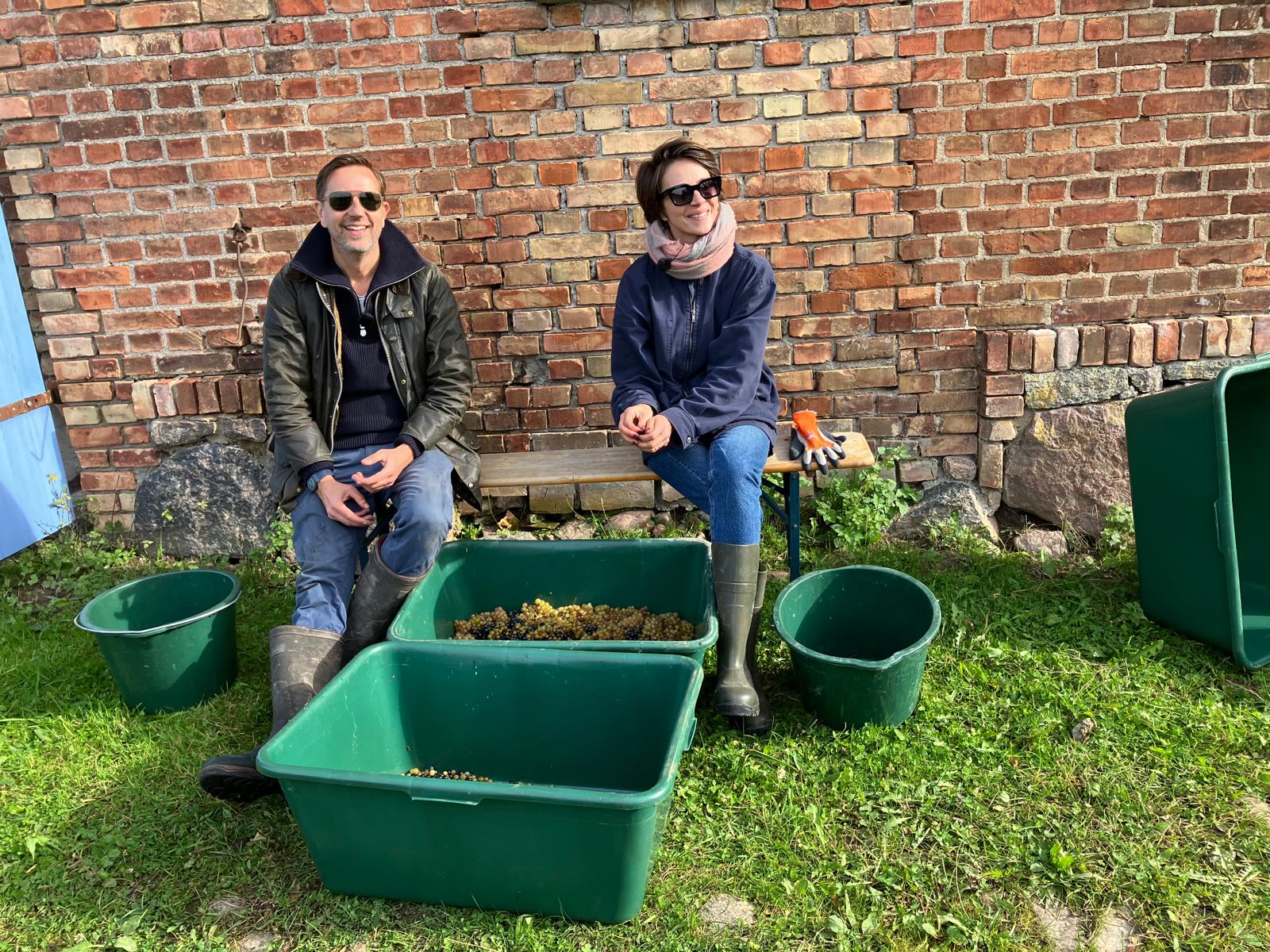 Paar sitzt auf einer Bank und entrappt Weintrauben